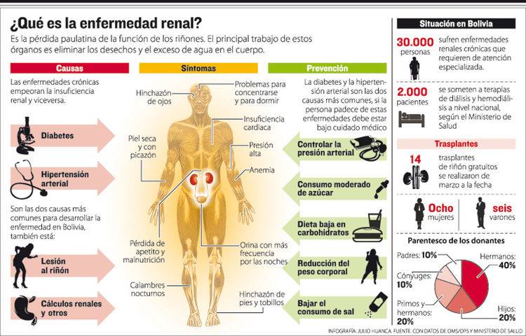 Dieta para insuficiencia renal pdf