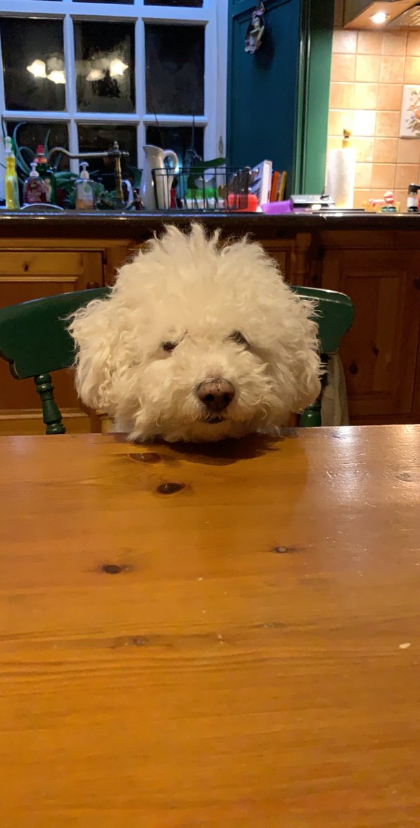 Shane McAuliffe 🐷✈️ tweet media