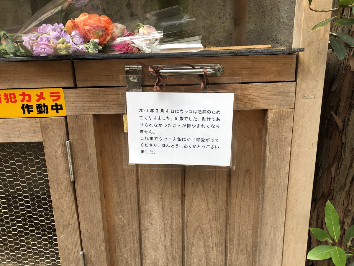 ウッコ ウッコ