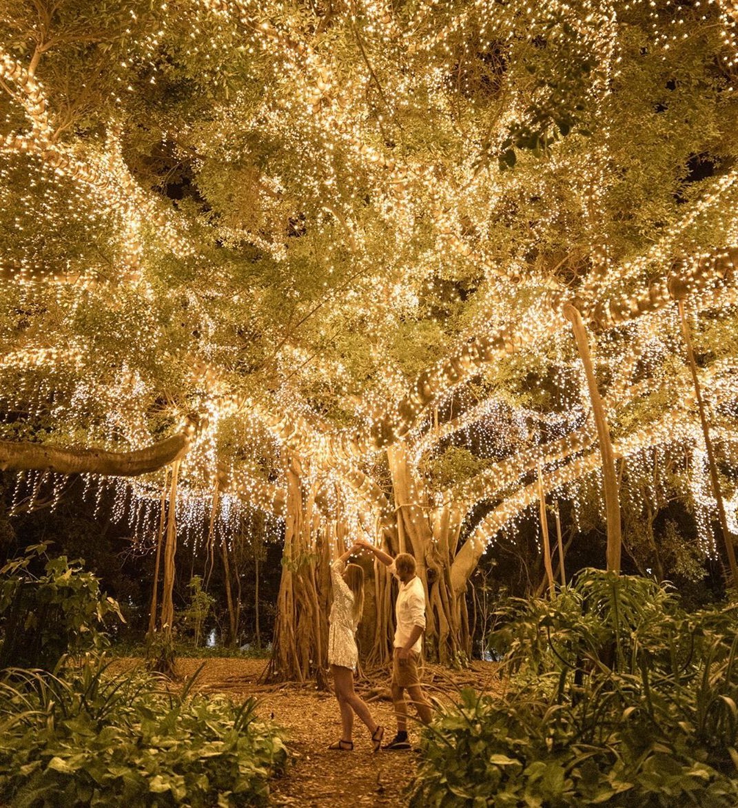Frolick under the fairy light trees at the end of the Goodwill Bridge in Gardens Point ✨ I think it's pretty clear that this is one of the most Instagrammable and magical places in Brisbane. 📷 thisis_barbandpete #thisisbrisbane