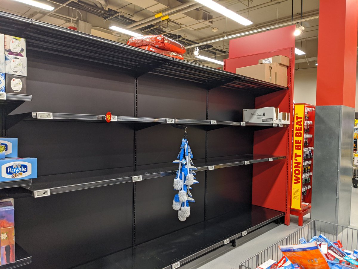 Neon Fawkes 🇨🇦🎹🎧 tweet media