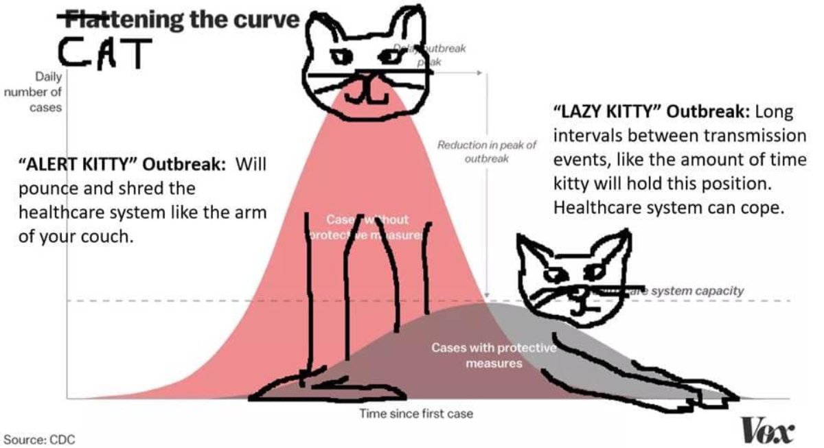 PlyMNIndivisibl's tweet photo. #Coronavirus #COVID 

"Borrowed" graphic emphasizing cats to make this more likely to be looked at and absorbed. #Catteningthecurve https://t.co/MMHRtkRYF1