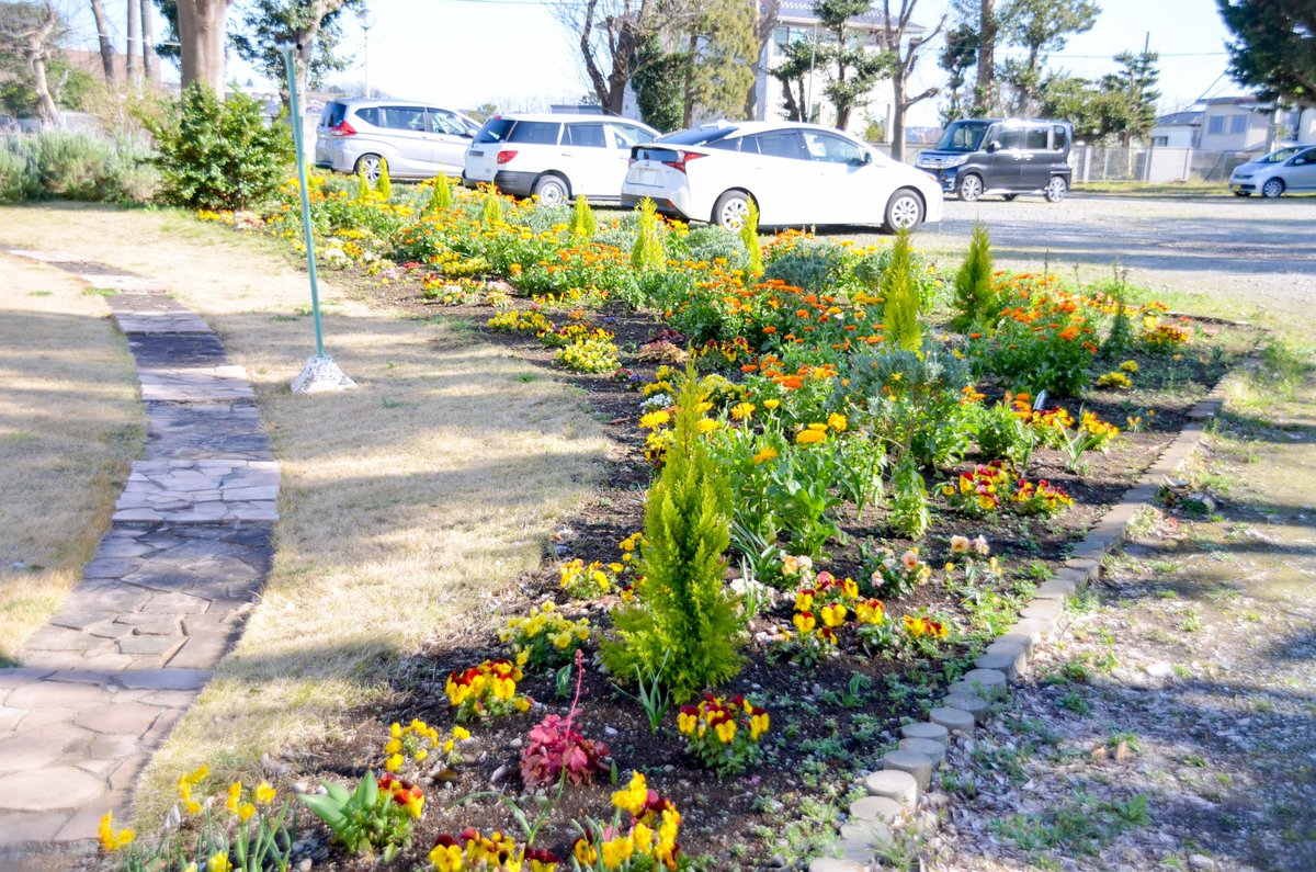 日本ガーデンデザイン専門学校 Twitterissa J オイルミルズさんの花壇のその後です 綺麗に花が咲いていました チューリップが咲くのが楽しみです T Co Ze1u31oyk4 日本ガーデンデザイン専門学校 Twitterissa J オイルミルズさんの花壇のその後です 綺麗に花が咲いていました チューリップが咲くのが楽しみです T Co Ze1u31oyk4