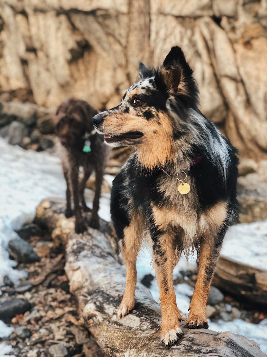 embarkwithember's tweet photo. That look you give someone when they cough on you 
#aussiesdoingthings https://t.co/6OX3I1ix9B