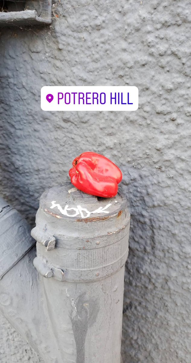 zerepayam's tweet photo. Starting a thread of all the peppers I find 
-thanx🌶 https://t.co/sVpVhuTbIQ