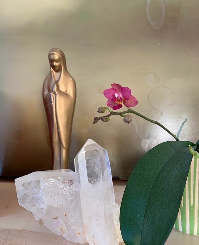SpaGoddess's tweet photo. DIVINE FEMININE - This beauty opened today, offering her sweetness + beauty to the divine feminine. I love how this little scene on the shelf behind my desk just came alive with the beauty of this flower.⁠
⁠
This Mother Mary is one of my cherished po… https://t.co/cKVviETOFc https://t.co/ozeszxAsDk