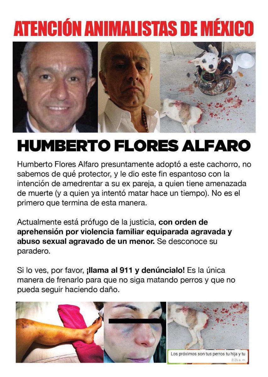 Ypz_Fer's tweet photo. URGE LICALIZAR A ESTE BASTARDO PROFUGO,CUENTA CON ORDEN DE APRENSIÓN POR ABUSO SEXUAL DE UNA MENOR @Foro_TV @yohaliresendiz @gabriellaguzman @wera_regia @mirnarococo @IcelaLagunas @DefAnimalMX  #RT https://t.co/Nvp8bUihaa