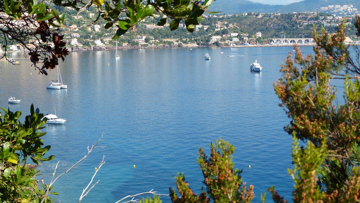 EvasionPaca's tweet photo. La baie de Théoule sur Mer et Mandelieu - La Napoule
#Théoule #TheoulesurMer #CotedAzurFrance #MandelieuLaNapoule #Mandelieu #landscape #MagnifiqueFrance #CotedAzur #Dept06 #PACA @VilledeTheoule @VisitCotedazur @MandelieuOTC @AlpesMaritimes @laroutedesgolfs @MandelieuVille #sea https://t.co/LLeRkjVyZS