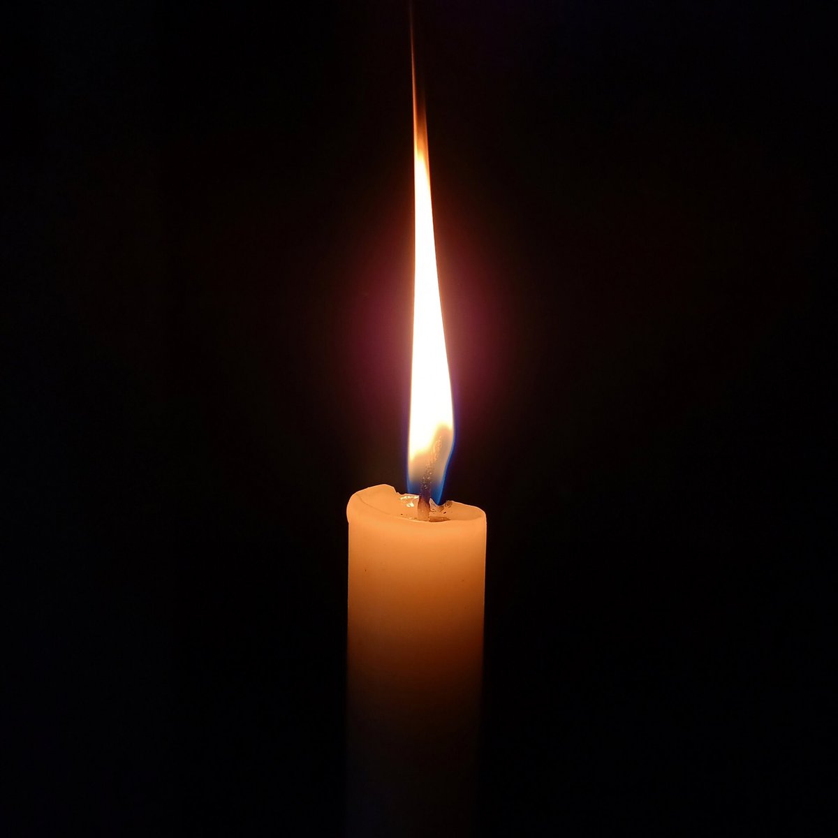 lasolamx's tweet image. 