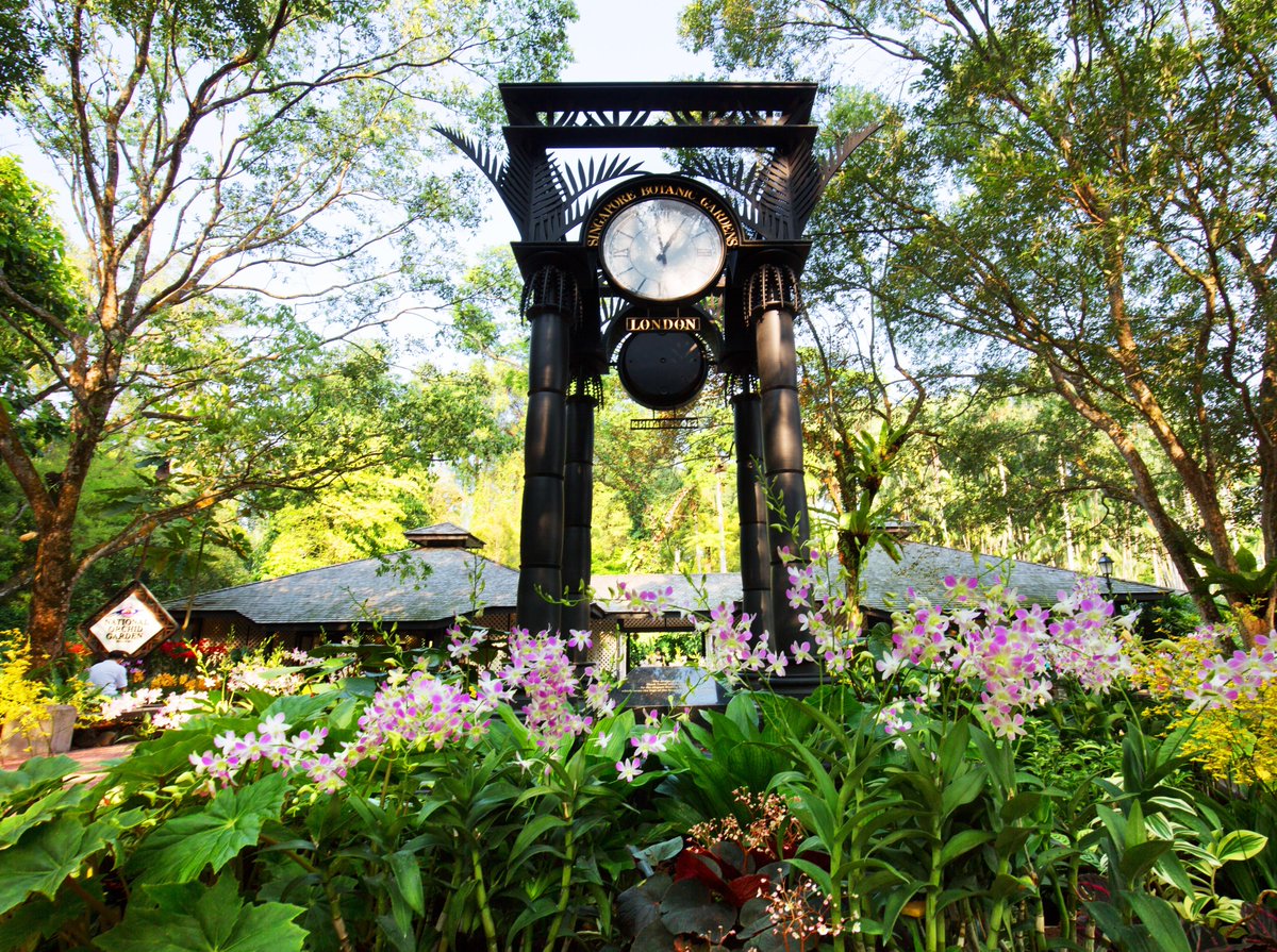 MO_SINGAPORE's tweet photo. Taking our weekend plans outdoors to Singapore Botanic Gardens this Saturday morning for that extra boost of Vitamin D! https://t.co/FSBCoKGNV3