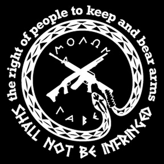 Tactical_review's tweet photo. Why is it the left just can't understand these few simple words? https://t.co/OdeOgEwBng