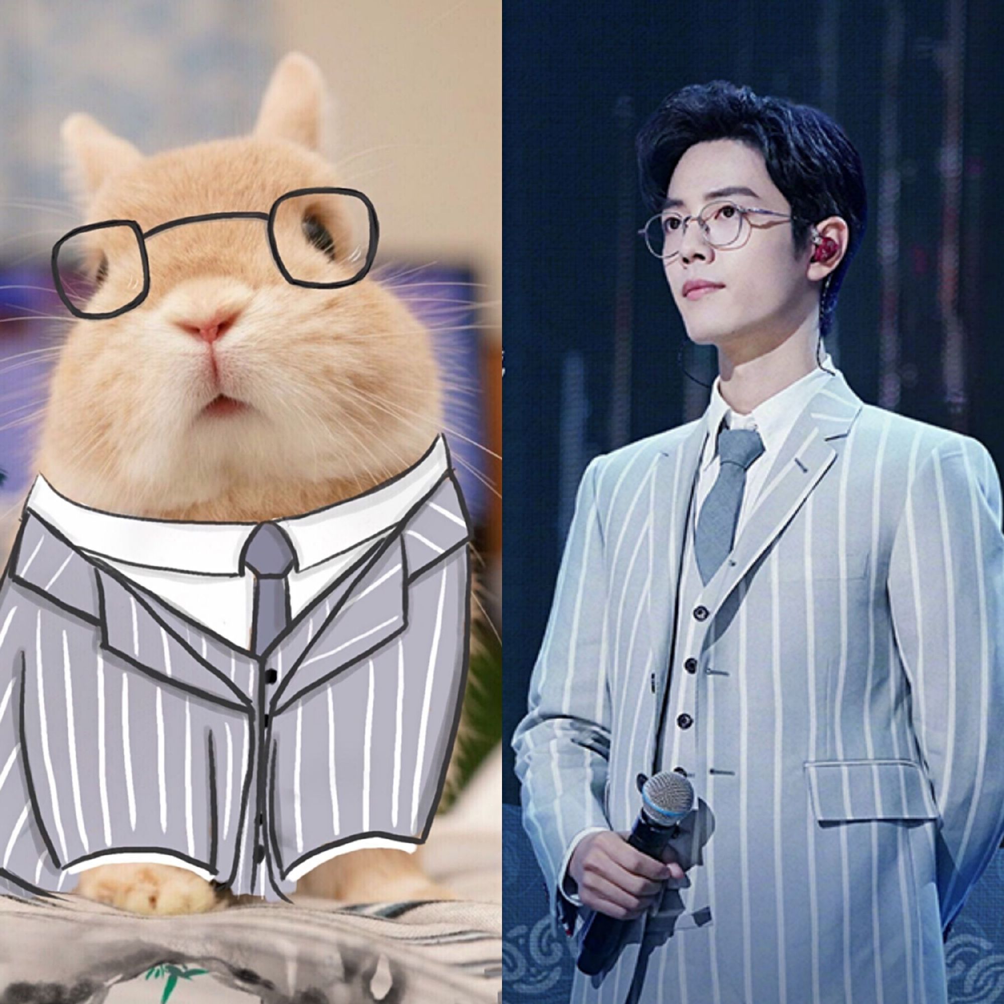 白ウサギさん　専用　肖战 シャオ ジャン· Rabbit Planet on X: 