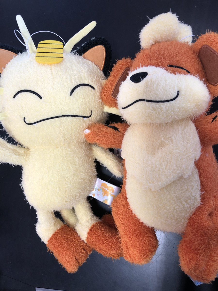 タイトーステーション 大須店 در توییتر プライズ ポケットモンスター ポケぎゅっとでっかいぬいぐるみ ニャース ガーディ 入荷致しました ガーディとニャースの寝顔に癒されます タイトー 大須 ポケモン