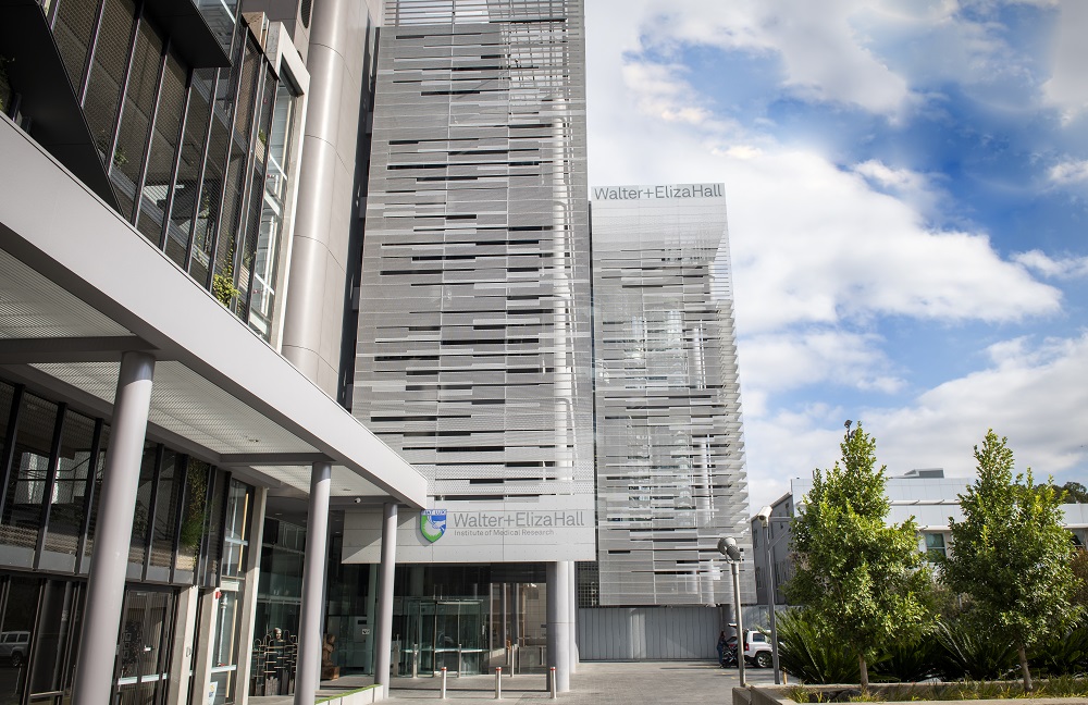 InvestVictoria's tweet photo. The establishment of the $75 million National Drug Discovery Research Centre will strengthen Australia’s premier #biomedical precinct and cement Melbourne’s position as a world-class research destination for #medtech @WEHI_research 
https://t.co/Lr5PqZ6TZa https://t.co/UDXdNfbj0K