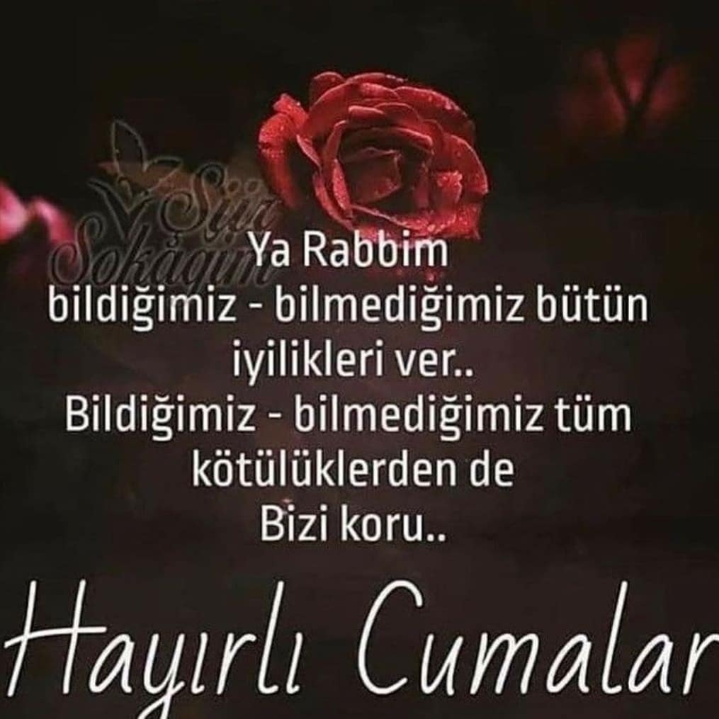 Tugce Aplay (@aplay_tugce) on Twitter photo 