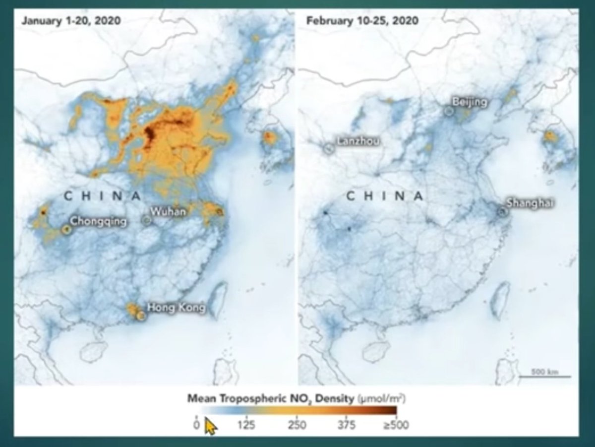 My colleague in the hospital : "Sometimes I feel, we are the virus and covid19 is mother earth's immune response. Lo liat Gi, polusi dunia yg merusak bumi berkurang drastis dua bulan terakhir."
