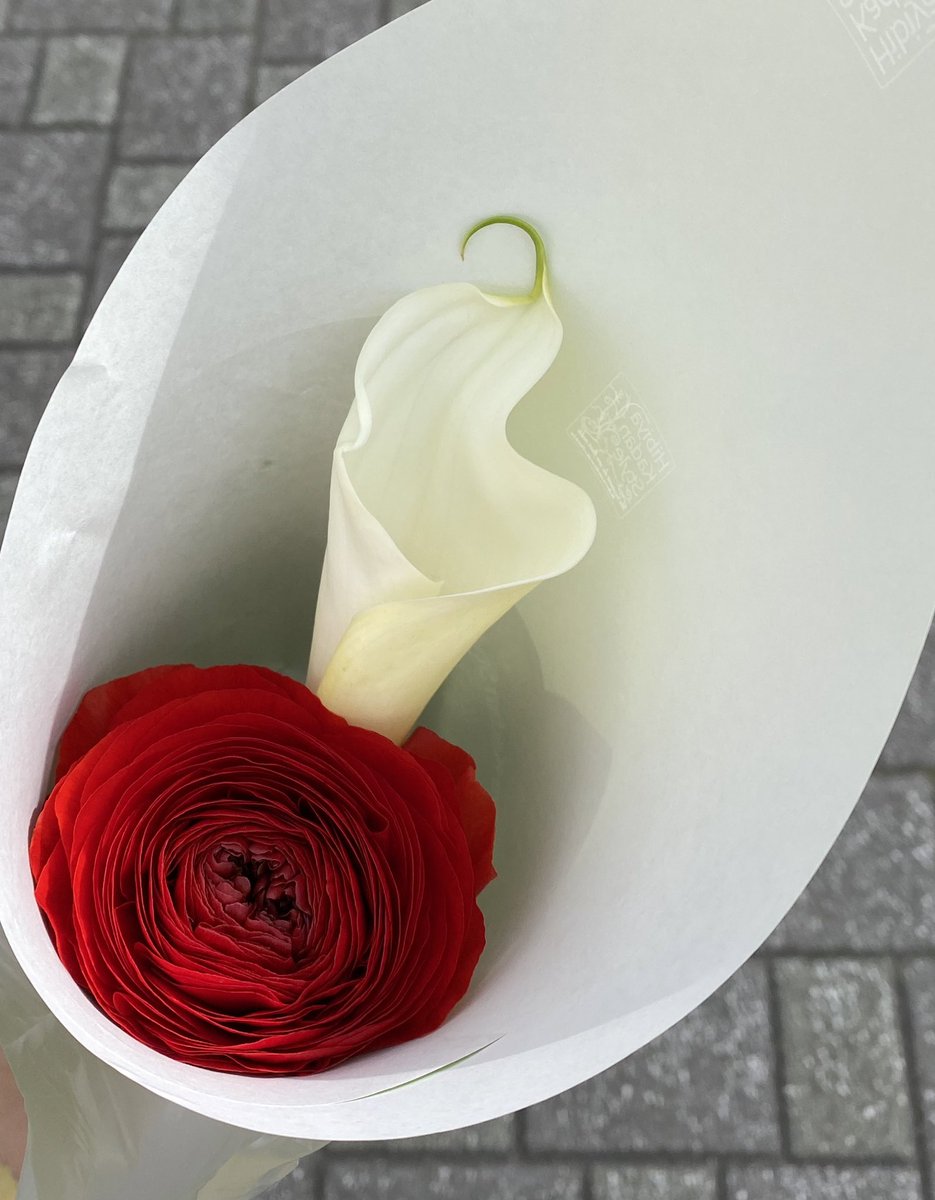 はるみな 14w 今日のお花はラナンキュラス 花言葉は 華やかな魅力 色別の花言葉では赤色のラナンキュラスは あなたは魅力に満ちている 白色のカラーも一緒に購入 カラーの花言葉は 乙女のしとやかさ 清浄 日比谷花壇 ハナノヒ 花の