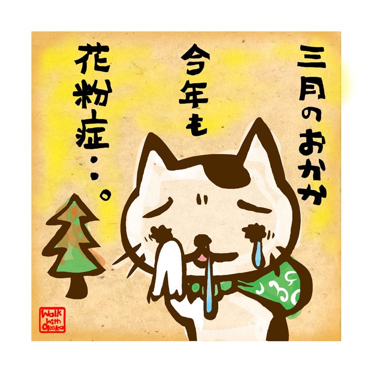 さすらいねこ おかか בטוויטר さすらいねこおかか チャイハネ アミナコレクション ねこ 猫 ぬこ 花粉症
