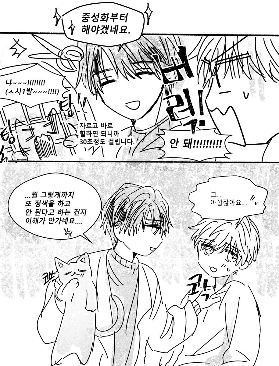 notemmerssu's tweet photo. 사하라가 고양이가 되는 나라 🐉🧙‍♂️🐱 https://t.co/LoK8CFNgSD