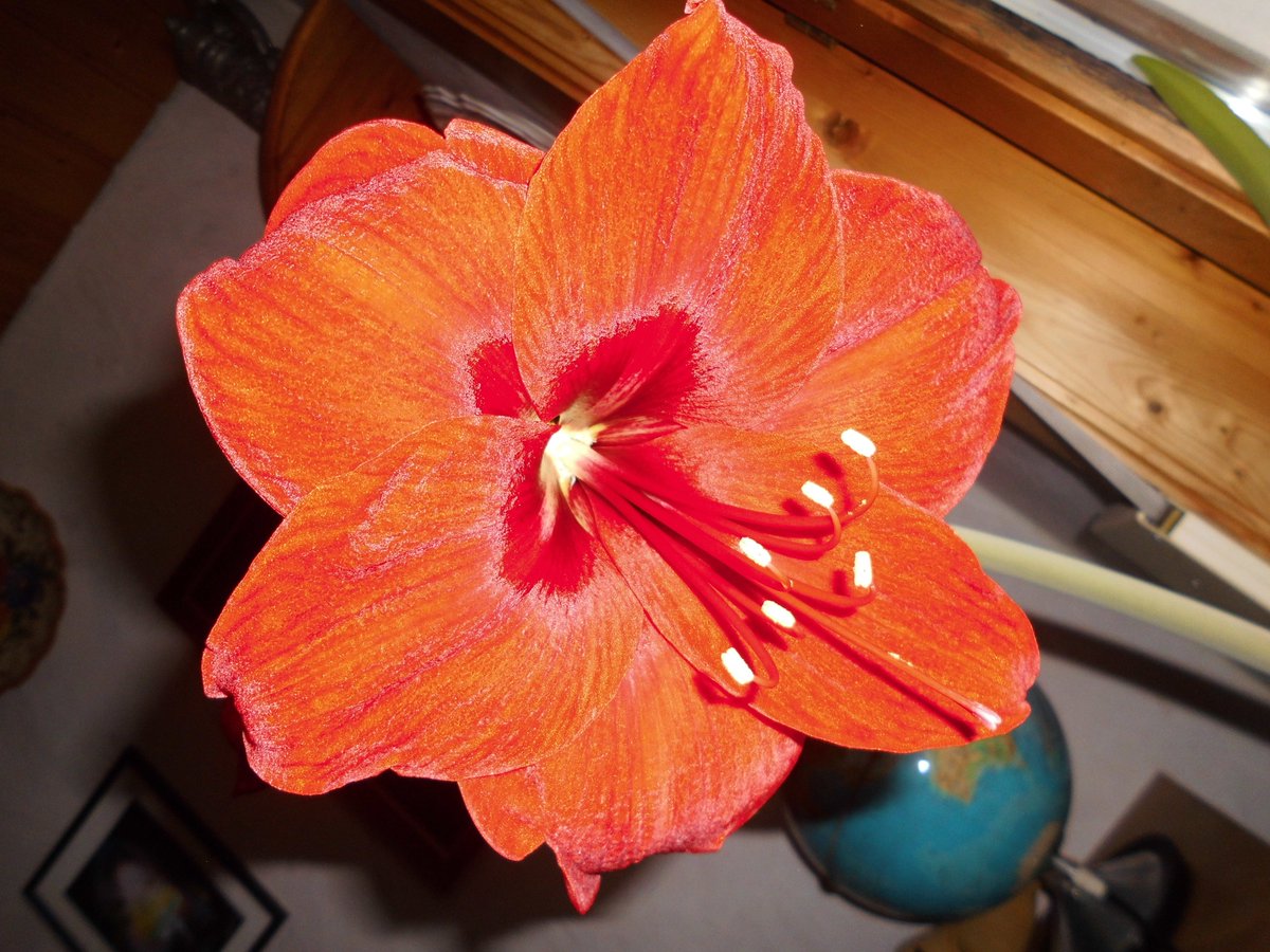 Guten Morgen
Wünsche Euch einen gemütlichen, schönen Sonntag.