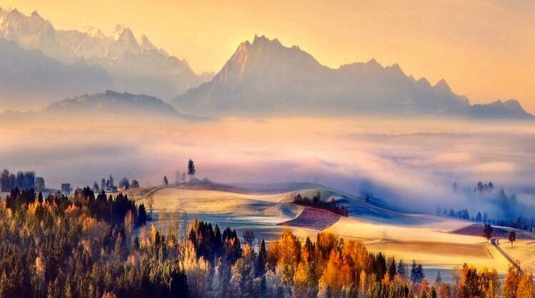 AnneScottlin's tweet photo. ❦We look to what is right and beautiful to comfort our hearts and strengthen our hands to spread healing and peace.
~Anne Scottlin
#healing #peace #inspirationalquote #Photo #ChipPhillips #motivationalquotes https://t.co/t8TVfB8Ume
