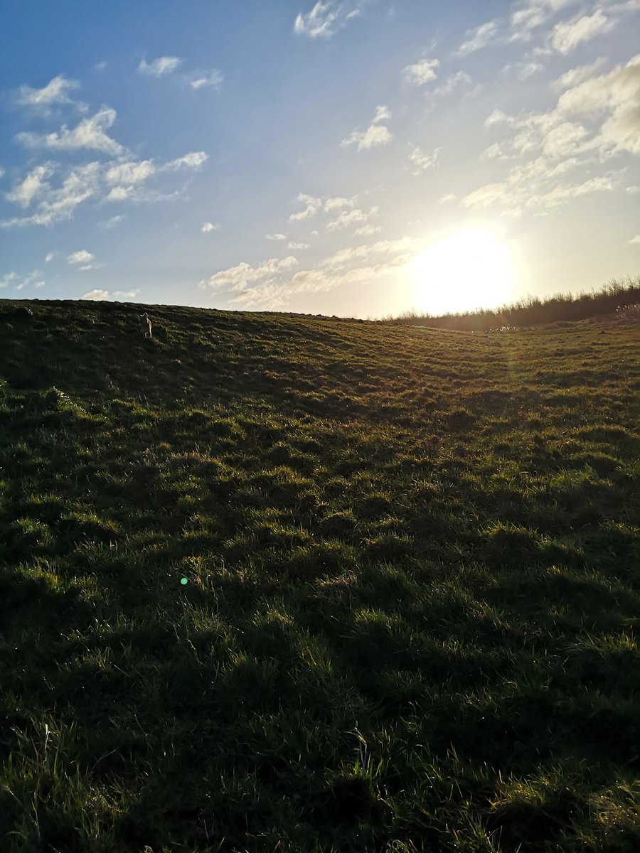 QUINN91250478's tweet photo. And so our challenge begins #woofallovercancer #walkallovercancer #walk10000steps #charity #cancerresearch #raisingfunds #raisingawarenes #beautiful start to the day. Happy #March #StDavidsDay #walk1000miles https://t.co/BZ0skbZ2i8
