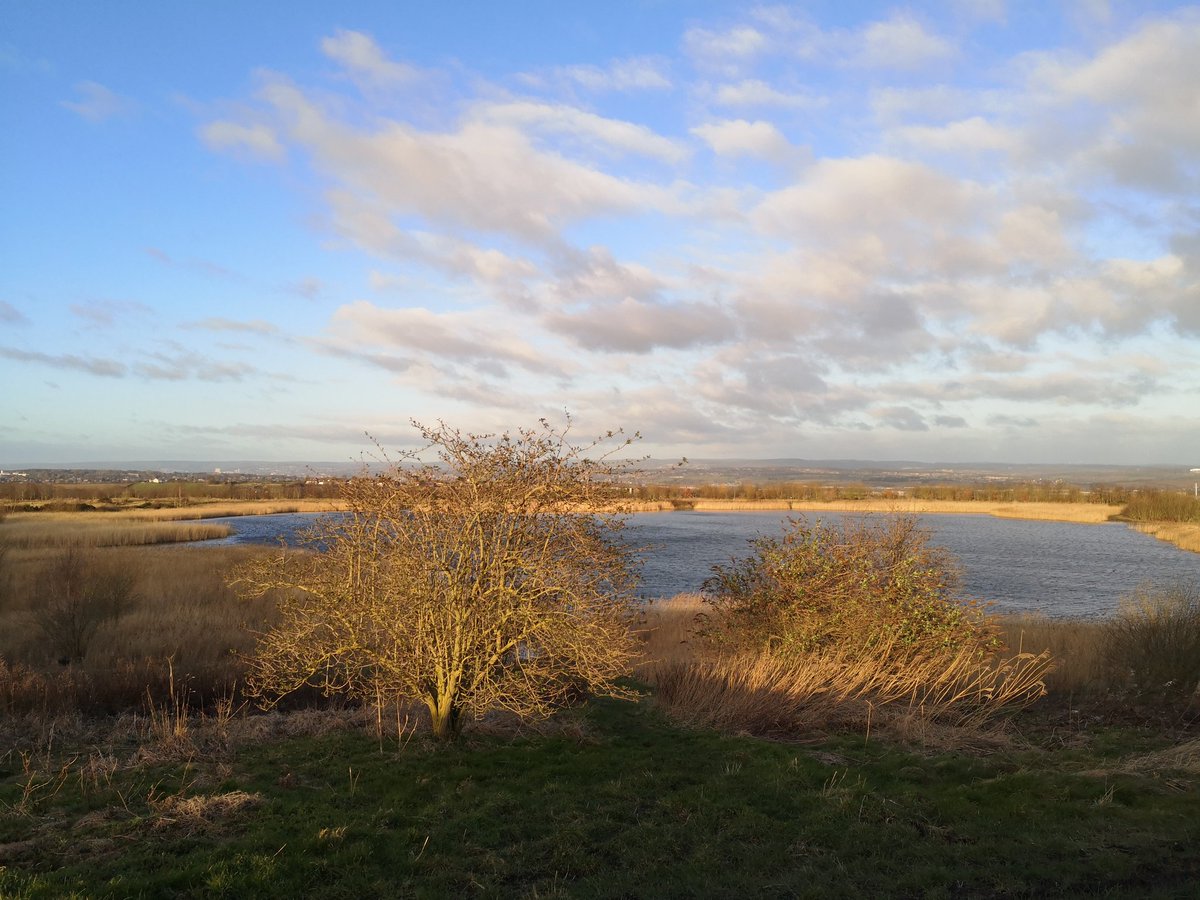 QUINN91250478's tweet photo. And so our challenge begins #woofallovercancer #walkallovercancer #walk10000steps #charity #cancerresearch #raisingfunds #raisingawarenes #beautiful start to the day. Happy #March #StDavidsDay #walk1000miles https://t.co/BZ0skbZ2i8