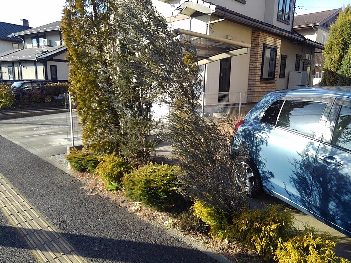 Oh 庭ya おにわや No Twitter コニファー支柱設置 仙台支店の大宮です 昨年の台風で木が傾いた ので直して欲しい とのご相談 駐車場の横ということで 植栽スペースに収まる省スペースで強固な保持力のある二脚鳥居支柱を設置し 樹木の傾きを修正しました Oh 庭ya おにわや No Twitter コニファー支柱設置 仙台支店の大宮です 昨年の台風で木が傾いた ので直して欲しい とのご相談 駐車場の横ということで 植栽スペースに収まる省スペースで強固な保持力のある二脚鳥居支柱を設置し 樹木の傾きを修正しました