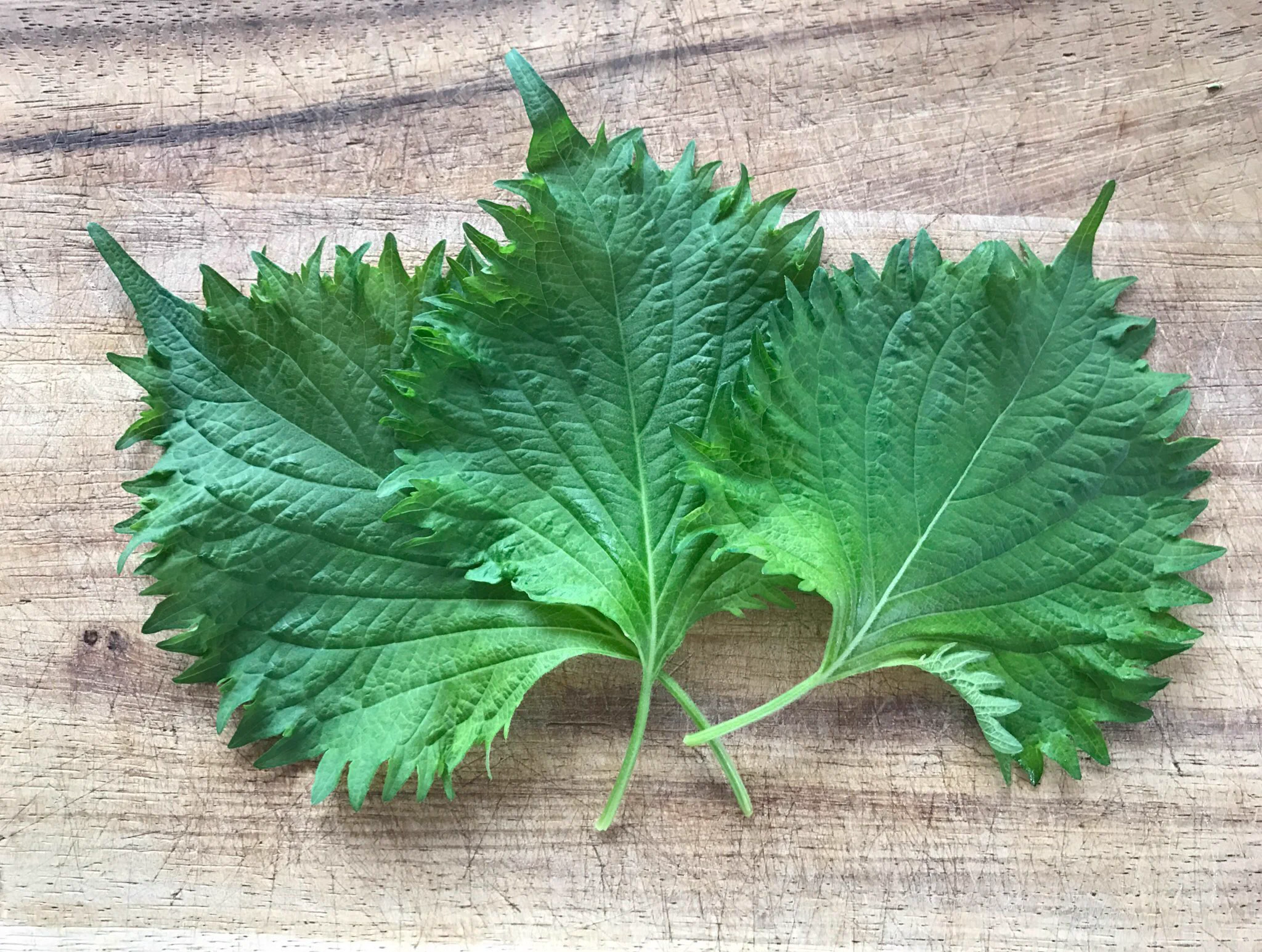 なってる人いない？まぶたピクピクは食べ物で抑えることができる！
