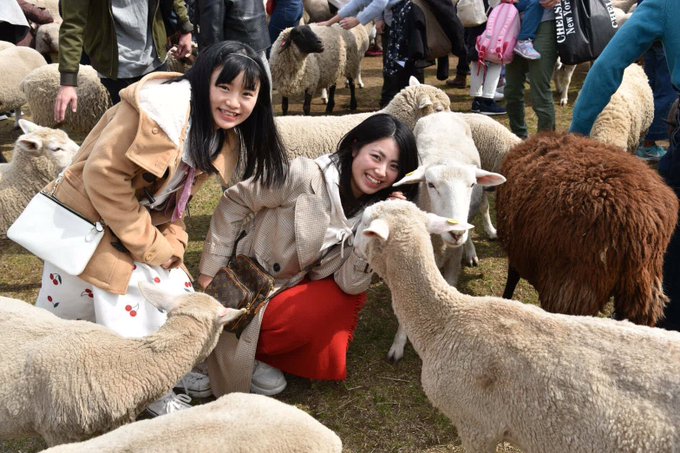 Twitterのコスプレ画像4