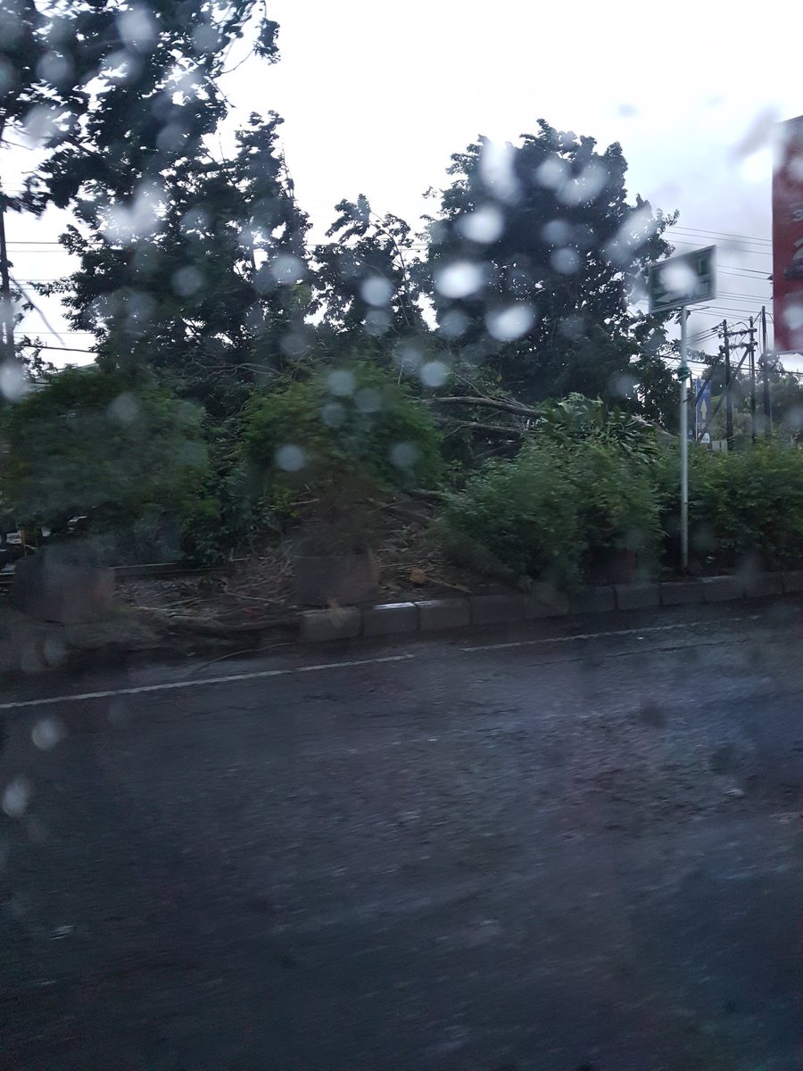 rikapaur's tweet photo. Hujan dan angin kencang di sidoarjo. Ada pohon tumbang menghalangi rel kereta di halte komuter comfeed @e100ss https://t.co/eMIM8XVarW