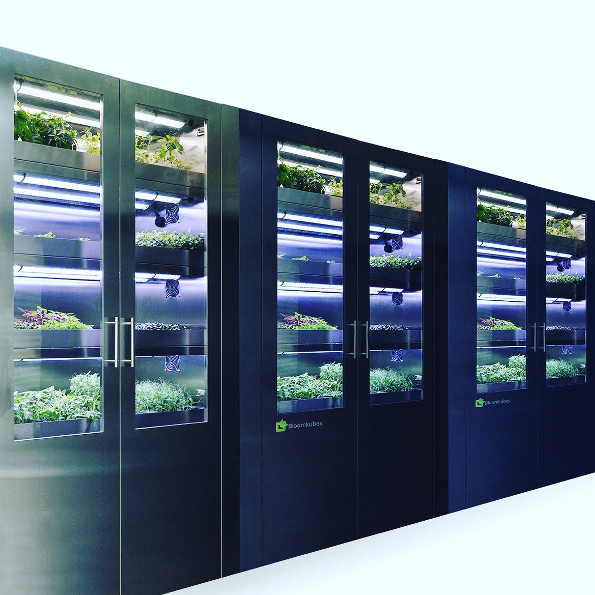 This is the vision, our #Bloomkubes #aisle the future of fresh leaves, micros and cresses - Rather stylish too don’t you think?! #freshisbest🌱