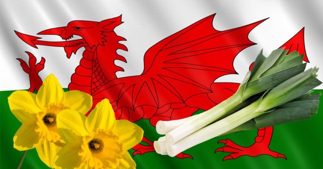 TheMYMagazines's tweet photo. Happy St David's Day to all our Welsh neighbours

Iechyd da! 😄 https://t.co/4z7kDXM3gL