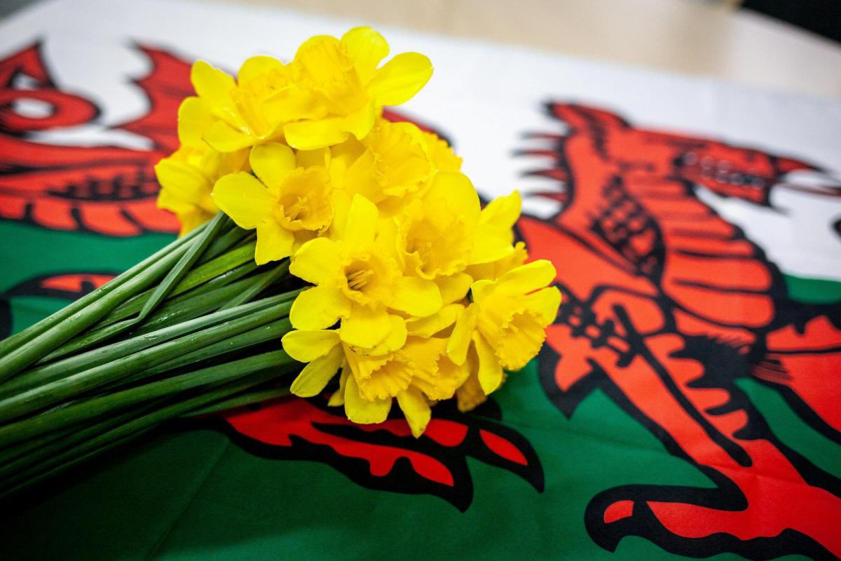TeamforceUK's tweet photo. Happy St David’s Day! 😊

#StDavidsDay #Swansea #Cymru https://t.co/2ZdS5QIqpx