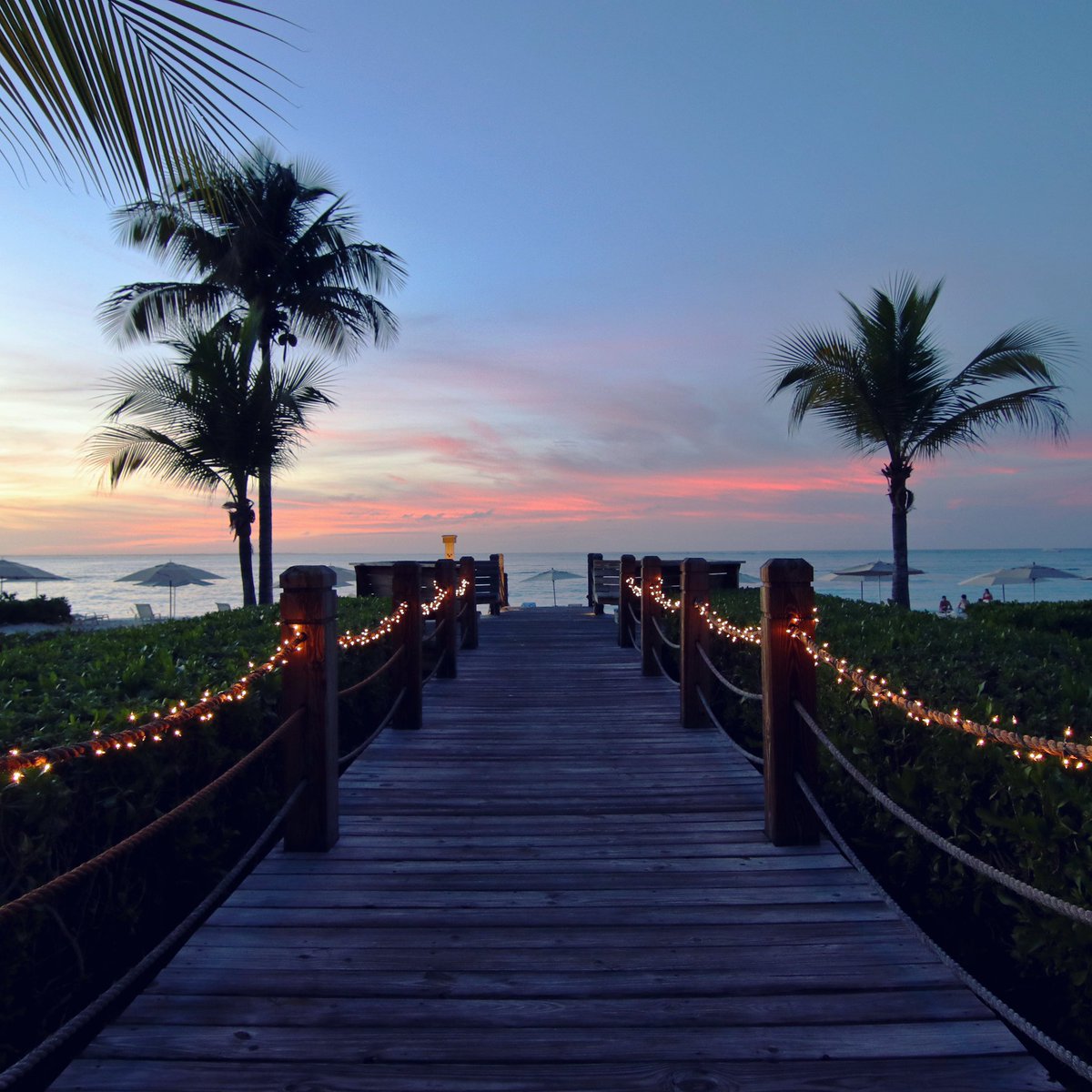 Winter is almost over. Time to start dreaming and planning for spring and summer vacations. 

Like Turks and Caicos for their beautiful beaches and sunsets. 

#turksandcaicos #thetuscany