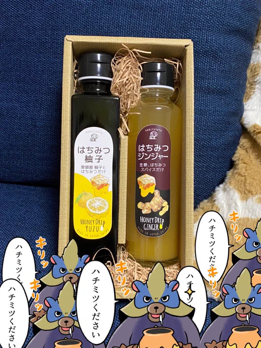 きょんちーさんがハチミツくれた?? 