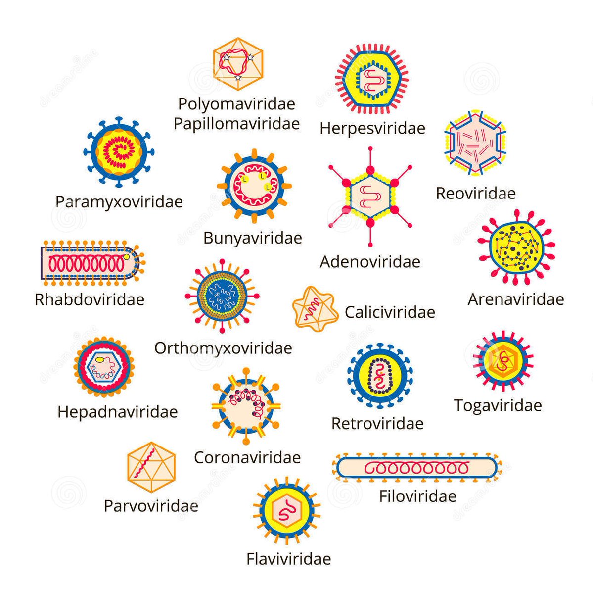 ismaelsaid's tweet photo. El #LavadoDeManos es igualmente efectivo frente a los demás #coronavirus diferentes del #COVID19 y otros virus responsables de resfriados y catarros.
Así que, ¡a lavarse las manos! https://t.co/9jIbbu3bSm