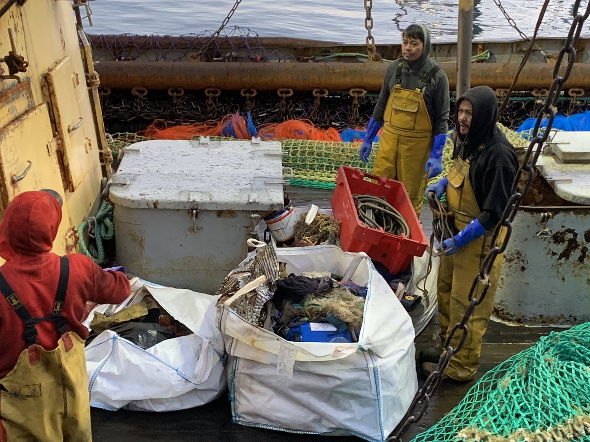 #seal #photobomb 07.00 this morning just after #JulieofLadram arrived in #Brixham. Good to check the welfare of the crew after being out in the storms and see the great #FishingforLitter work they are doing! @thefishmish @SpratSprat33 @WaterdanceLtd @HarveyJon_ @DevonLiveNews