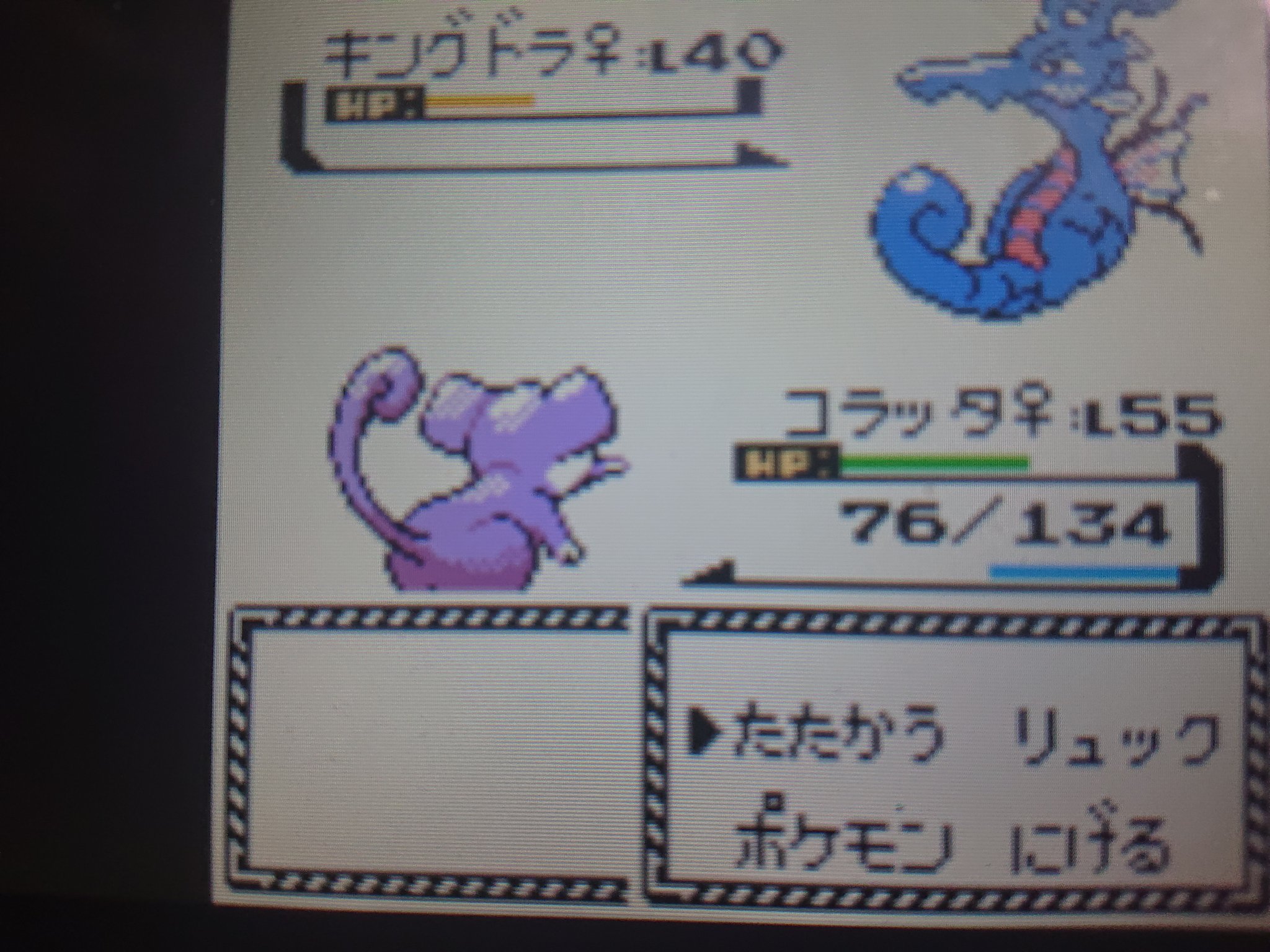 巫女チーズ 今日でポケモン金を全クリしようとするもレベル差ありながらもコラッタだと3回攻撃されたら倒される ゴマゾウは可愛い カイリキーのクロスチョップで1発ko T Co 14yb4n73fk Twitter