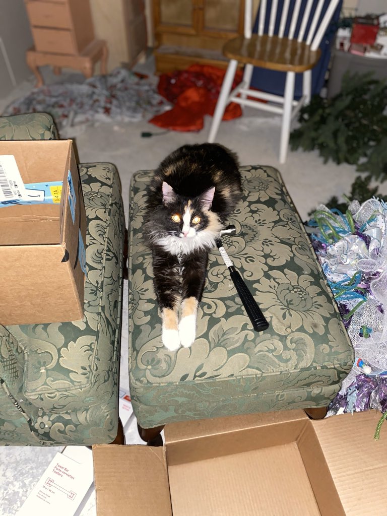 Cromk..,, hamor tiem..... !