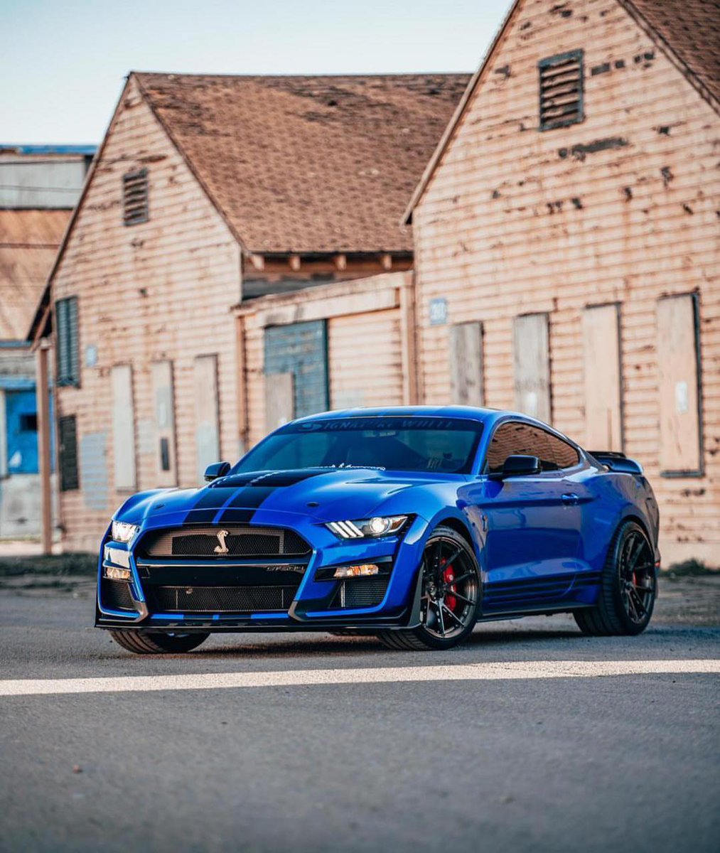 FutureFord's tweet photo. Blue Beauty. #ShelbyGT500
#MustangShelby #GT500 📸: j.vizualz/IG https://t.co/G1FZgr47Ui