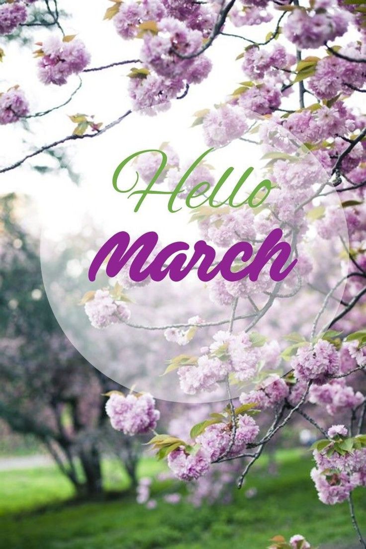 CDMI_Church's tweet photo. Happy new month fam! You are welcome to March with us this Sunday morning in both our morning and main service, 8am and 10:30am respectively 😊😊

#CDMIChurch https://t.co/5xsgGNxTWG