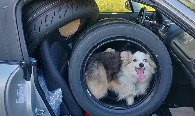 pistachoo's tweet photo. Sharing car stories at dinner after day 1 ice-x, and realized I never posted this photo. From July 2019, when I had to pick up 4 tires from Costco, in the Miata. #Bridgestone #re71r #stuffedcar https://t.co/MFaYm6fuPG https://t.co/SsybIWpAyK