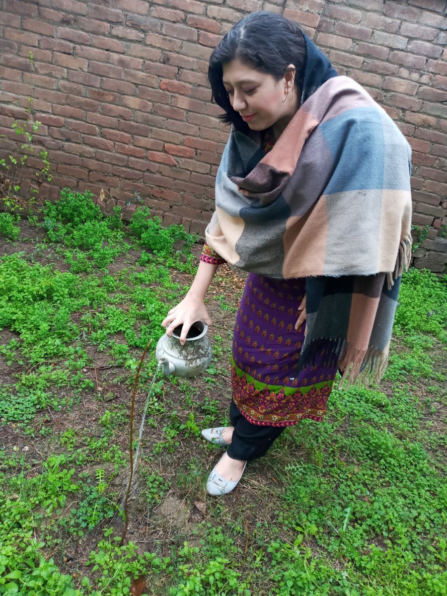 Palwasha_Abbas's tweet image. A perfect day it was ,yesterday for #Plantation drive at our village dist #charsadda, tehsil shabqadar so tried to play my part for a better environment #SpringPlantation 🌱🌷🌳😍 #KhuleyPakhtoonkwa
