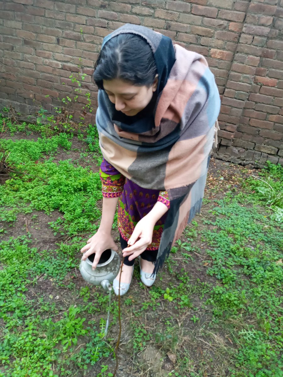 Palwasha_Abbas's tweet image. A perfect day it was ,yesterday for #Plantation drive at our village dist #charsadda, tehsil shabqadar so tried to play my part for a better environment #SpringPlantation 🌱🌷🌳😍 #KhuleyPakhtoonkwa
