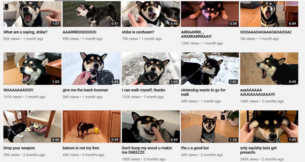 1 minute in dog years