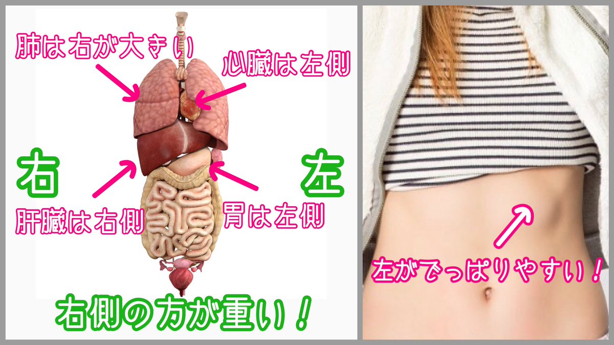 モテボディコンサルタント ごーちゃん 僕も肋骨の記事は書いてるけど 基本はこんな感じで 左の肋骨の方が大きく出やすいです モテボディコンサルタント ごーちゃん 僕も肋骨の記事は書いてるけど 基本はこんな感じで 左の肋骨の方が大きく出やすいです