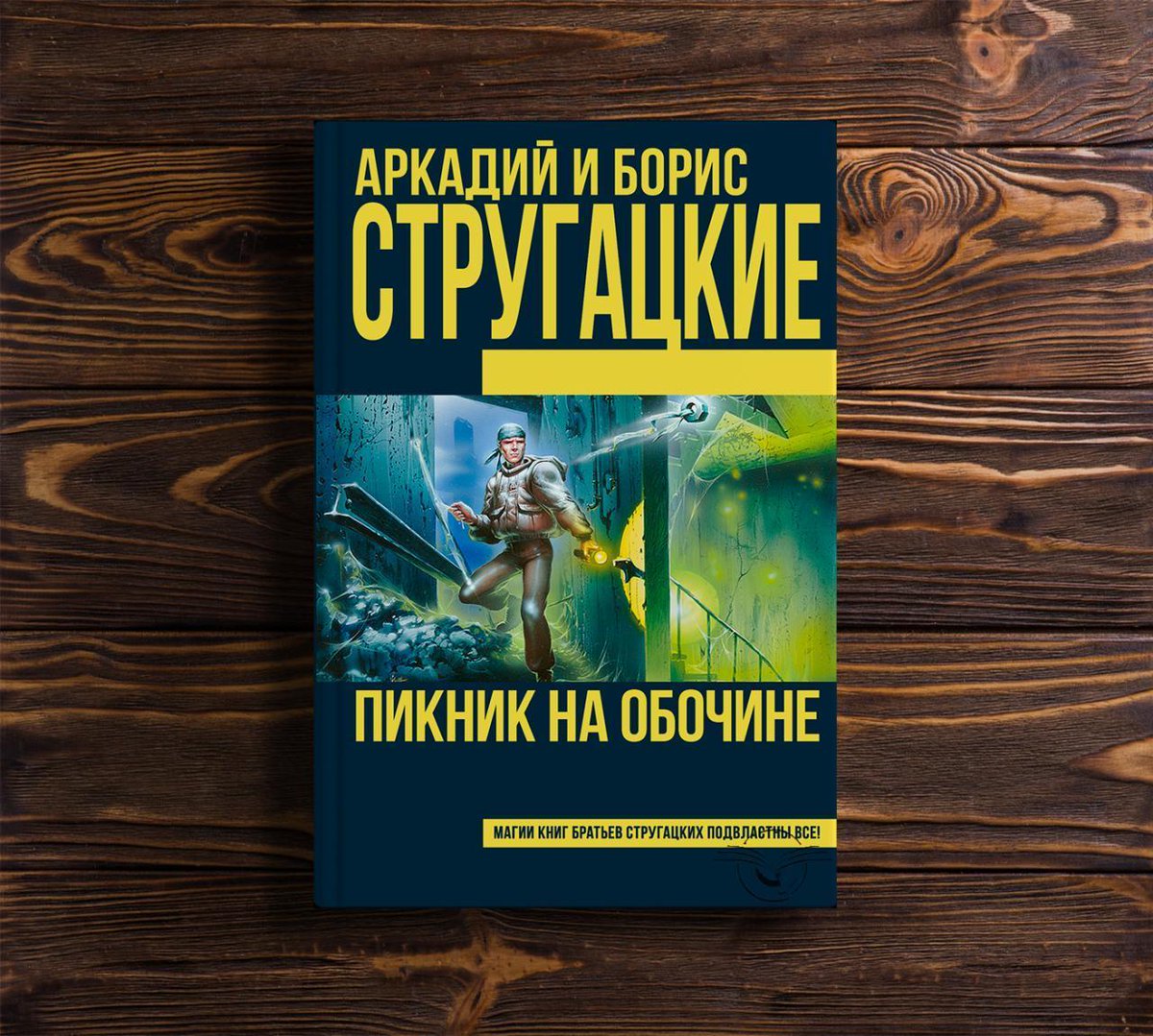 Сколько книгу братьев стругацких. Пикник на обочине обложка книги. Братья Стругацкие сталкер.