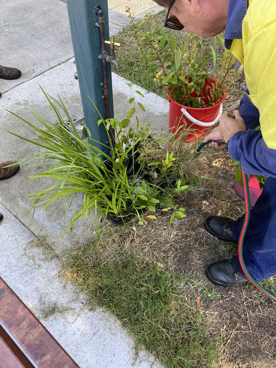 Cori_Moran's tweet photo. This #CleanUpAustraliaDay we held our @brisbanecityqld Habitat Bushcare ‘planting’ working bee 🐝🦋🌿 Bumped into @the_Councillor_  and @TimNichollsMP who were hard at work too! Always feel so good after bushcare 💚 #greengym #volunteer #makeanimpact #biodiversity #native https://t.co/J2qLuGRVqj