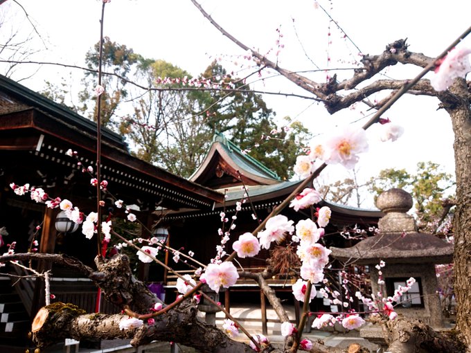 北野天満宮のtwitterイラスト検索結果